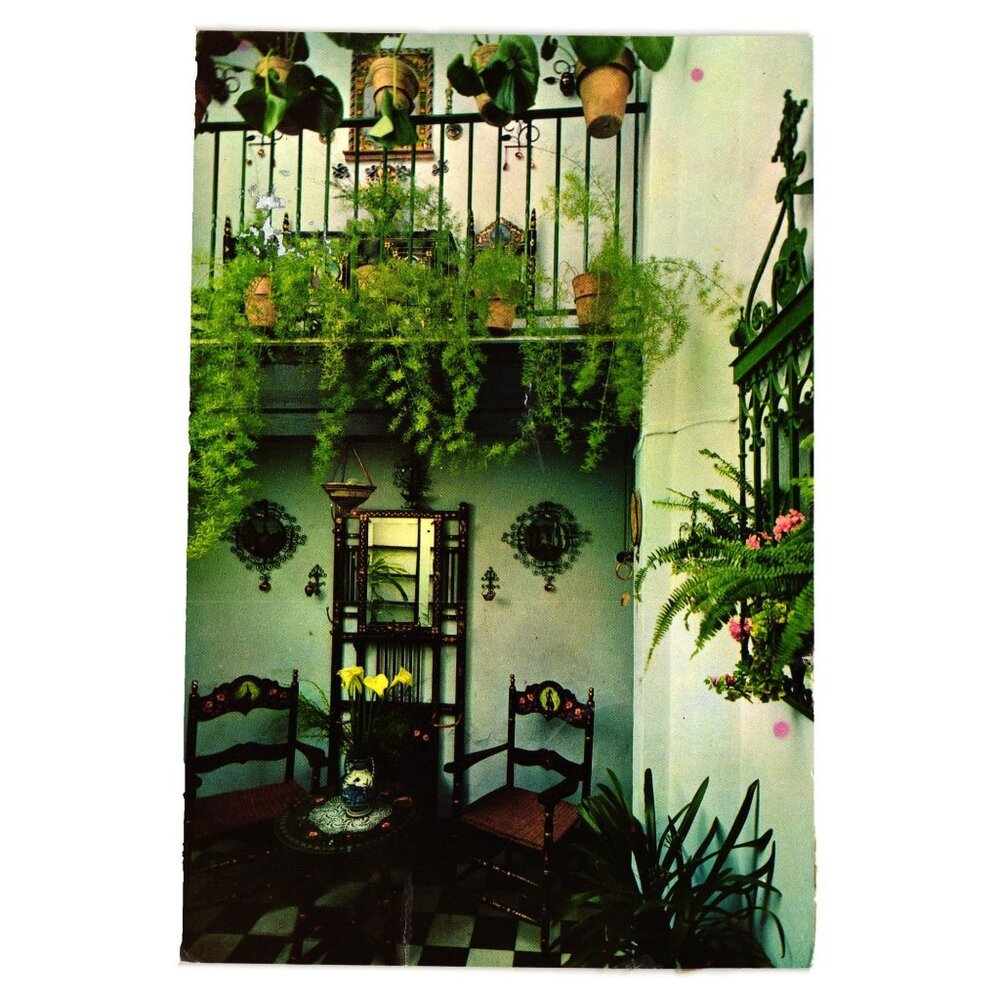 Vintage Sevilla Barrio Santo Cruz Patio Postcard Travel Spain Tourism Plants